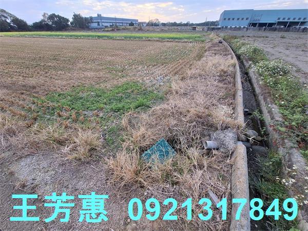 台中后里農地-9