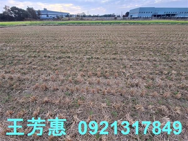 台中后里農地-10