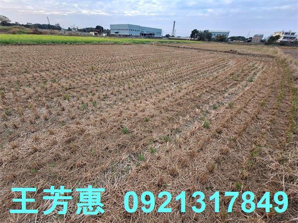 台中后里農地-13