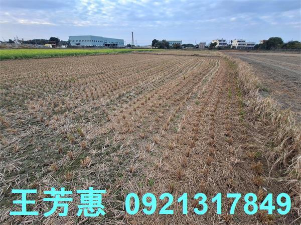 台中后里農地-14
