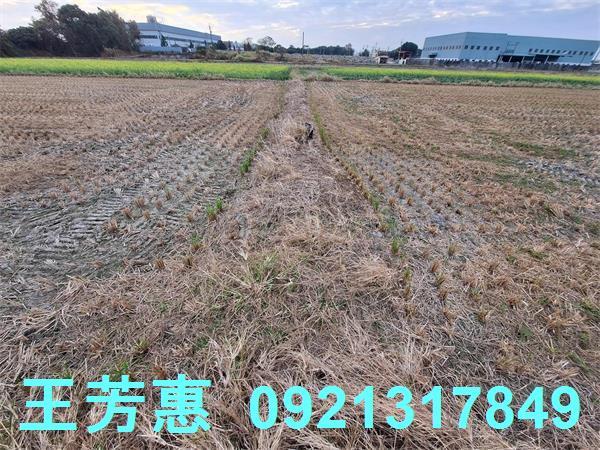 台中后里農地-0