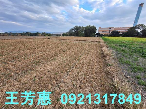 台中后里農地-2