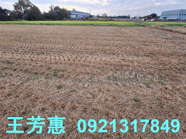 台中后里農地-3