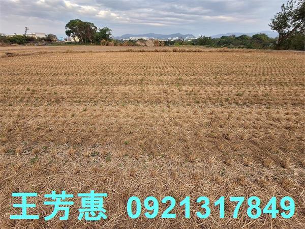台中后里農地-4