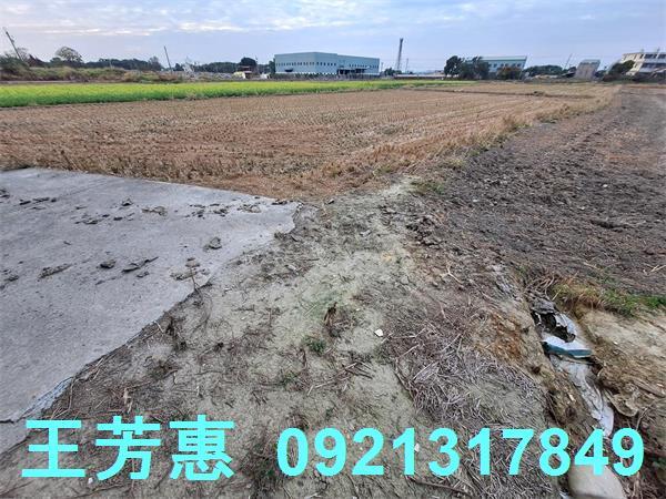 台中后里農地-5