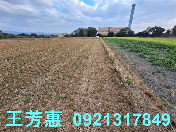 台中后里農地-6