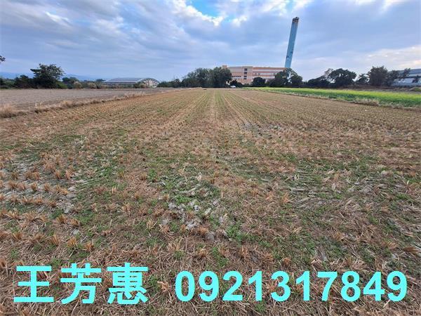 台中后里農地-8
