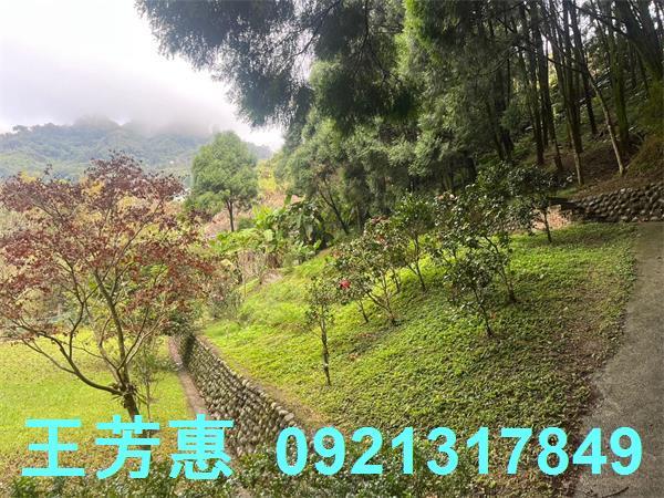 台中東勢農地-1