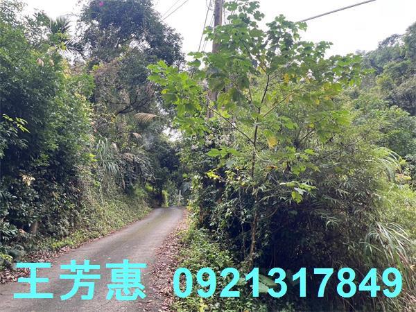 台中東勢農地-6