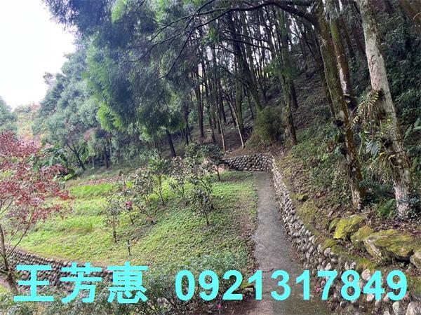 台中東勢農地-7