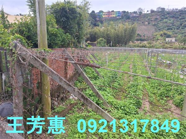 台中石岡農地-9