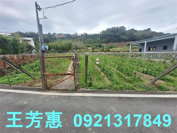 台中石岡農地-11