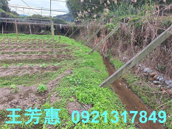 台中石岡農地-2
