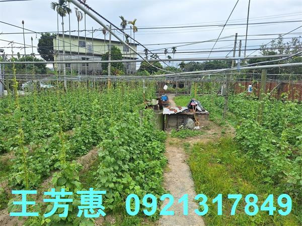 台中石岡農地-3