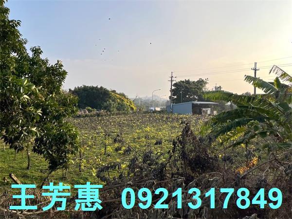 台中后里農地-9