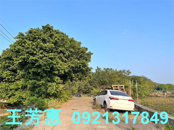 台中后里農地-0