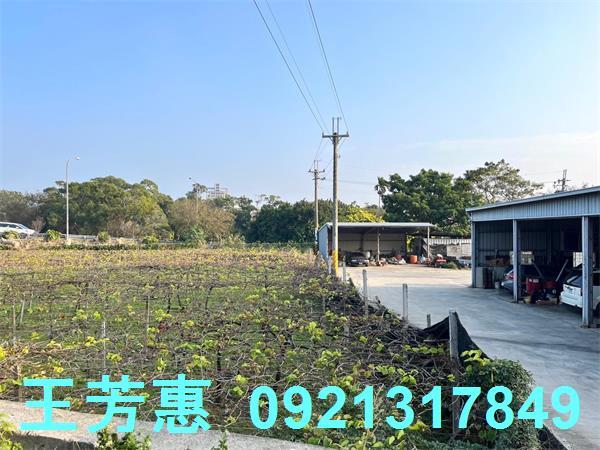 台中后里農地-1