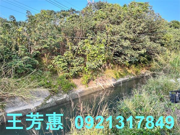 台中后里農地-2