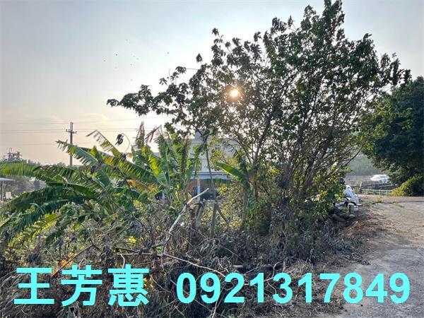台中后里農地-8