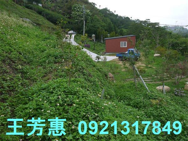 台中東勢農地-10
