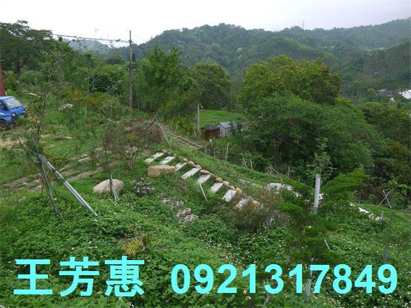 台中東勢農地-11