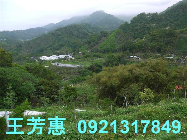 台中東勢農地-12