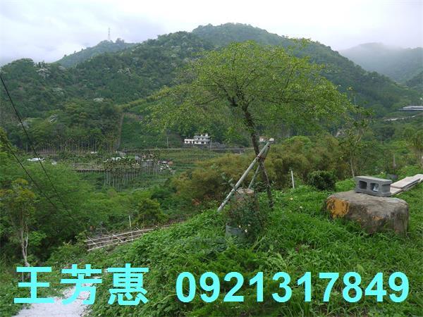台中東勢農地-6