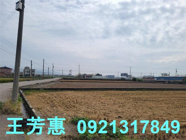 苗栗苑裡農地-0