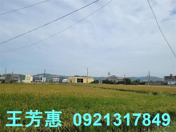 苗栗苑裡農地-2