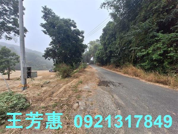 苗栗苑裡農地-12
