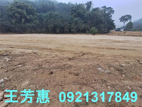 苗栗苑裡農地-3