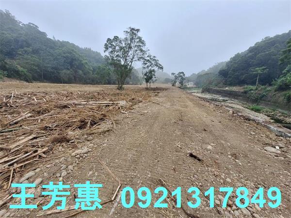 苗栗苑裡農地-5