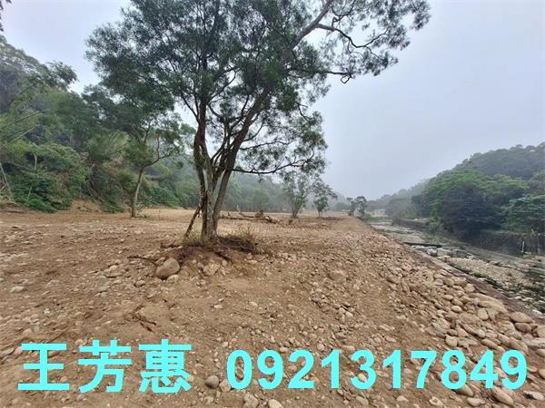 苗栗苑裡農地-6
