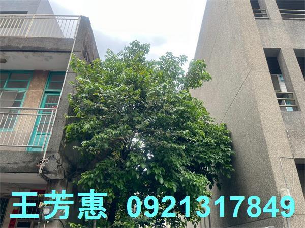 台中后里建地-8