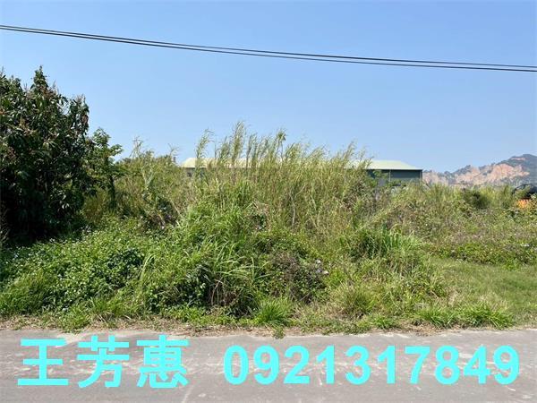 台中后里農地-9