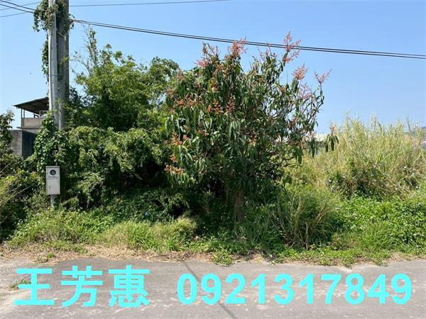 台中后里農地-10