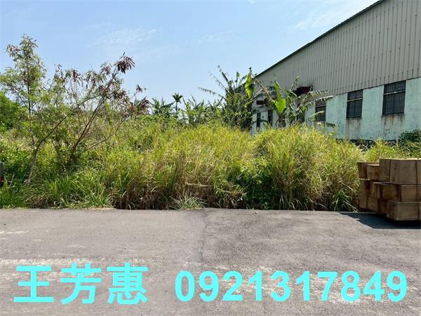 台中后里農地-0