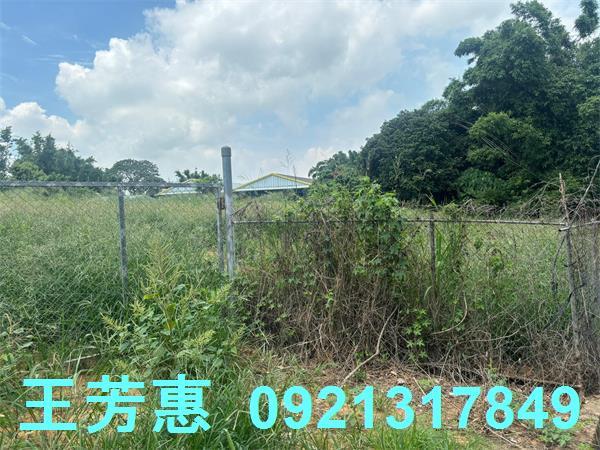台中后里農地-1