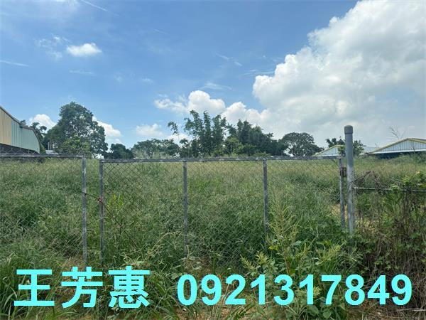 台中后里農地-2