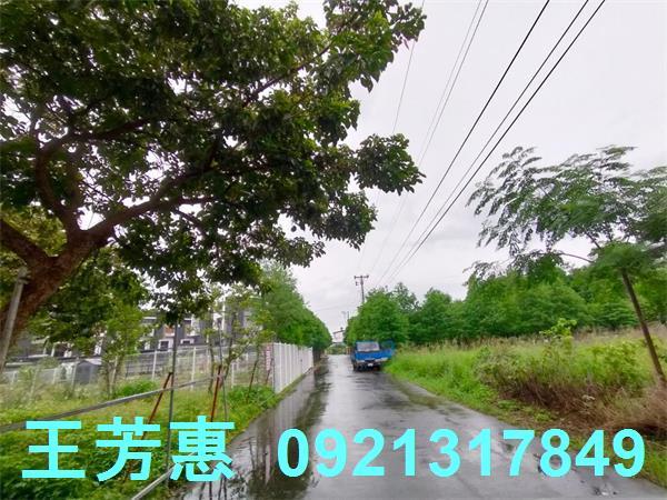 台中豐原農地-0
