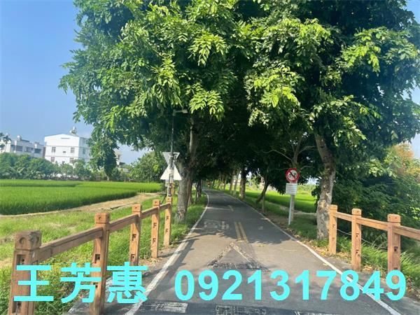 台中神岡農地-13
