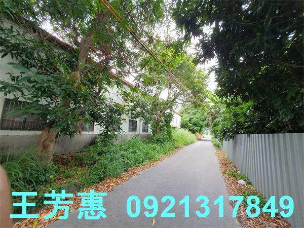 台中神岡農地-11