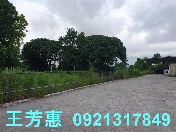 台中神岡農地-3