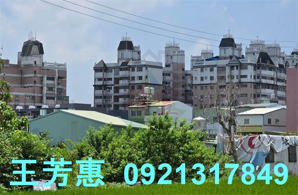 潭子農地-6