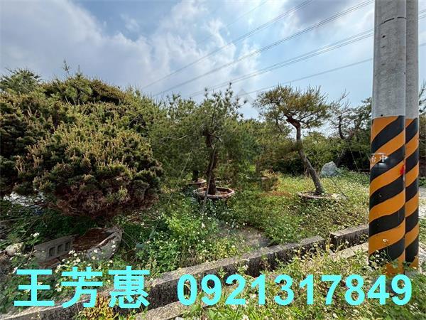 豐原農地-0