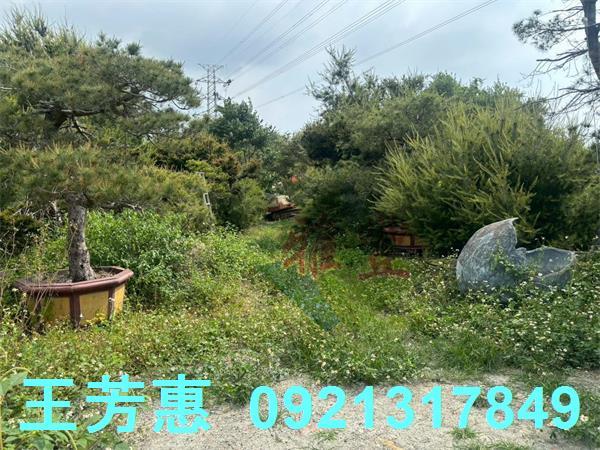 豐原農地-1