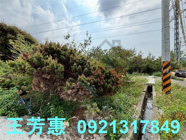 豐原農地-2