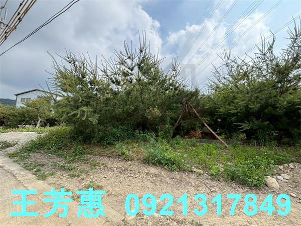 豐原農地-5