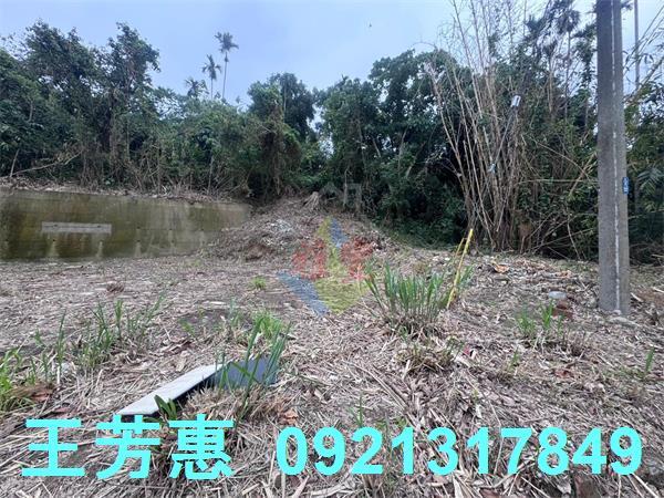 豐原工業地-10