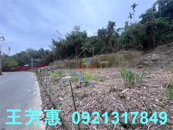 豐原工業地-11